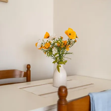 Le Blanqui Wi-fi Proche Cathedrale Appartement Tours